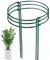 LAOJU Plants Support Stake Garden Plant Support Rings 6 Pack Metal Half Round Plant Supports Cage Suitable for Vegetables Tomato Flowers Peony and Rose, 25x40CM