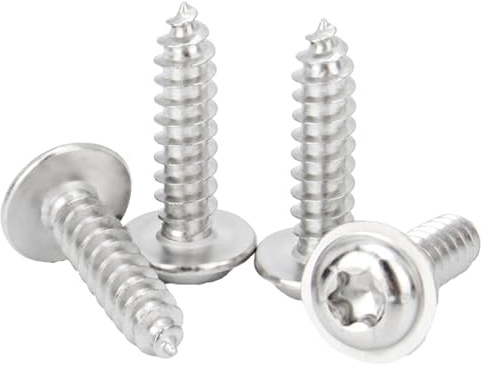QANCEN 50 Stück M4x12 mm Torx Tellerkopf Holzschrauben, Edelstahl Blechschrauben mit Flachkopf und Scheibe, A2 V2A Rostfrei, Selbstschneidend, Vollgewinde Schrauben