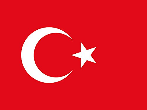 Taffstyle Fahne 150cm x 90 cm Länderflagge Fanartikel Land Flagge mit Metallösen Frauen Männer Kinder Basketball Handball Fussball Türkei