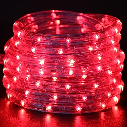 Wisada LED Lichtschlauch Außen,20M 36LEDs/m Rot LED Schlauch 220V LED Tube Light Indoor Leuchtstoffröhre, Outdoor LED Lichter Wasserdicht Lichterschlauch für Terrasse Wohnzimmer Weihnachten Partydeko