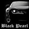 Rakelfix Black Pearl Aufkleber Größe & Farbe wählbar Tuning Sticker Lack oder Scheibe