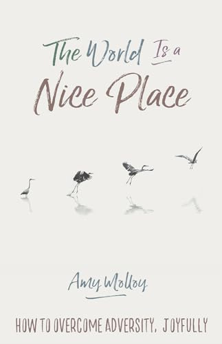 World Is a Nice Place, The: How to Overcome Adversity, Joyfully
