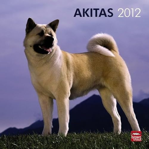Akitas 2012 (Wall-Kalender)