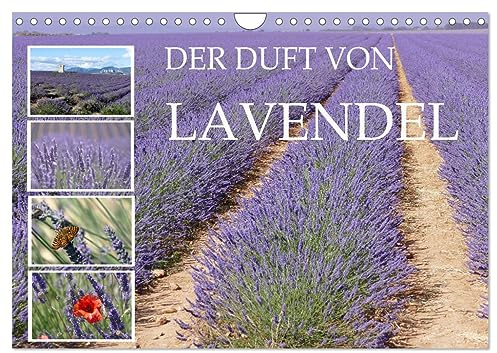 Der Duft von Lavendel (Wandkalender 2026 DIN A4 quer), CALVENDO Monatskalender: Stimmungsvolle Lavendelbilder aus der Provence (CALVENDO Natur)