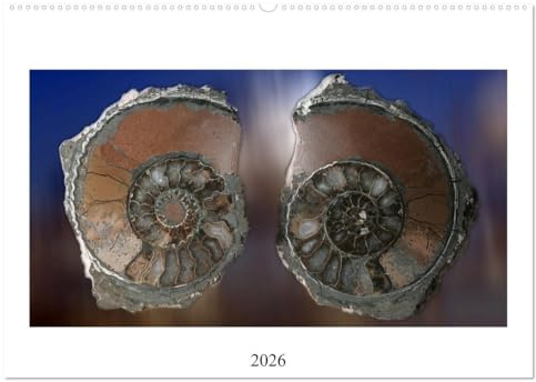 Versteinerte Welt (Wandkalender 2026 DIN A2 quer), CALVENDO Monatskalender: Außergewöhnliche Fossilien neu interpretiert (CALVENDO Wissen)