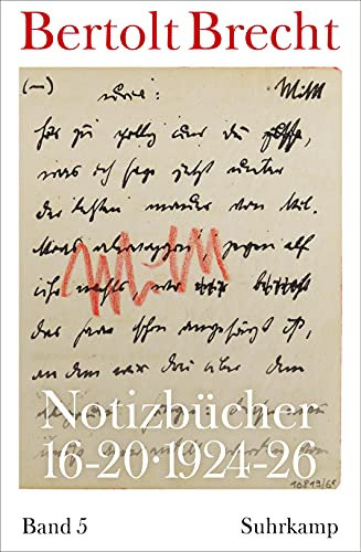 Notizbücher 16-20: Band 5: 1924-1926