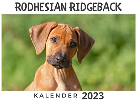 Rodhesian Ridgeback: Kalender 2023
