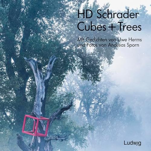 Cubes + Trees: Installationen vom Schloss Waldenbuch und dem Museum Ritter bis zum Schloss Dätzingen