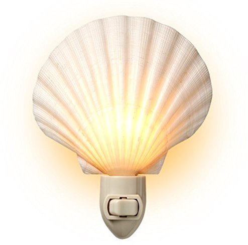 Tumbler Home Real Sea Shell Beach Night Light Real, Natural, Perfect for Beach Home Decor