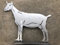 Terma Stahldesign Edelrost Ziege Gartenfiguren Handmade Germany, tolle gartendeko aus Rost-Metall, deko rostoptik, Rostfiguren Tiere, rostfiguren Garten, Rostdeko (Ziege)