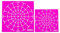 Malvorlagen zum Punktieren, Dot Painting Tools Kit, Soft Dotting Painting Tools, Dotting Tools für, Dot Painting Tools für Stoff, 2-teiliges Dot Painting Kit, Dot Painting Tools für Möbel