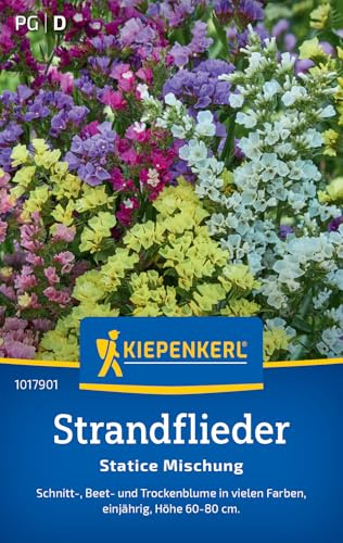 Kiepenkerl Strandfliedersamen Statice Mischung 1017901, Blumensaat
