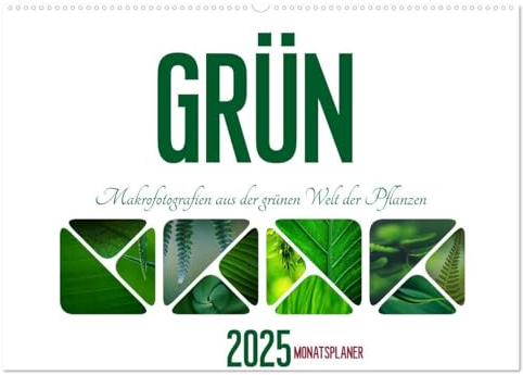 Grün Makrofotografien aus der grünen Welt der Pflanzen als Monatsplaner (Wandkalender 2025 DIN A2 quer), CALVENDO Monatskalender