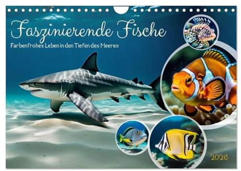 Faszinierende Fische (Wandkalender 2026 DIN A4 quer), CALVENDO Monatskalender: Farbenfrohes Leben in den Tiefen des Meeres (CALVENDO Tiere)