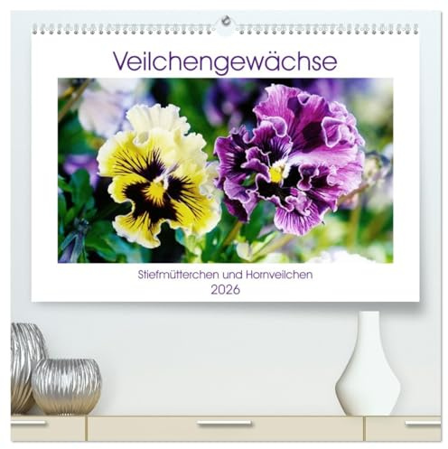 Veilchengewächse - Stiefmütterchen und Hornveilchen (hochwertiger Premium Wandkalender 2026 DIN A2 quer), Kunstdruck in Hochglanz: Fröhlich bunte Blütenporträts (CALVENDO Natur)
