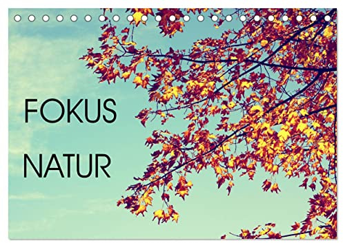 Focus Natur (Tischkalender 2026 DIN A5 quer), CALVENDO Monatskalender (CALVENDO Natur)