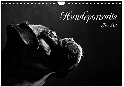 Hundeportraits Fine Art (Wandkalender 2026 DIN A4 quer), CALVENDO Monatskalender: Hundeportraits in schwarz/weiß (CALVENDO Tiere)
