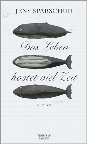 Das Leben kostet viel Zeit: Roman