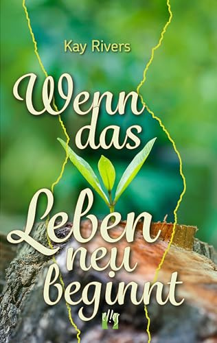 Wenn das Leben neu beginnt: Liebesroman