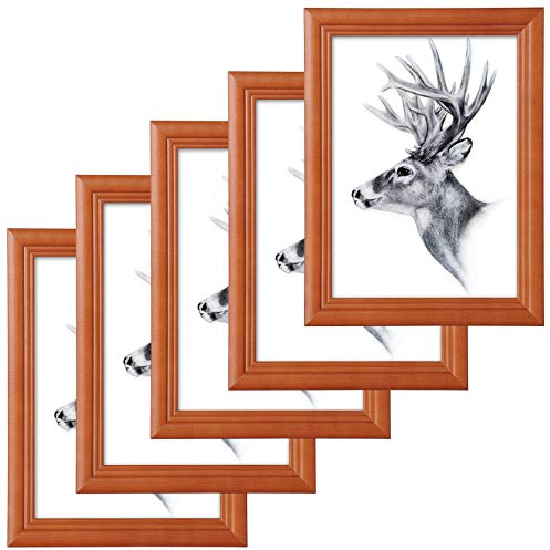 WOLTU Bilderrahmen 10x15cm 5er Set Fotorahmen Holzrahmen mit Passepartout, zum vertikalen oder horizontalen Aufhängen/Aufstellen, Posterrahmen Collage Wanddeko, Braun