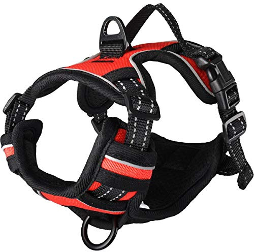 Flamingo Hundegeschirr - hundegeschirr kleine Hunde - 31–55cm A. Brust / 40–55cm B. Bauch Harness Balou Rot S