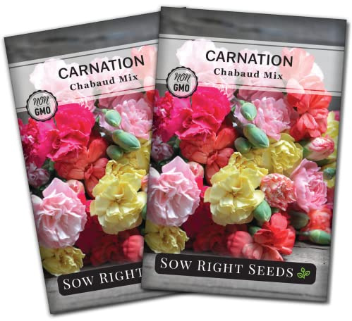 Sow Right Seeds - Chabaud Mix Carnation Seed for Planting Heirloom 2pk