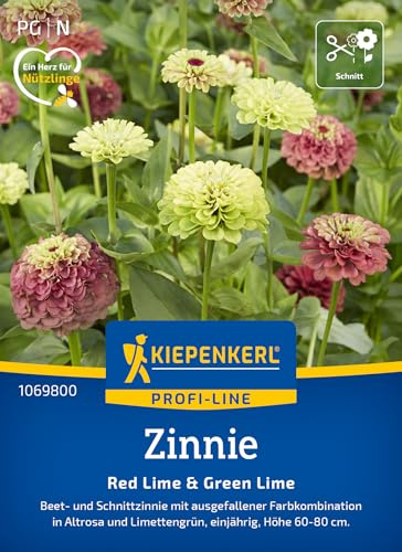 Kiepenkerl Zinniensamen Red Lime & Green Lime 10698 | Zweifarbige Blueten, sonniger Standort, Sommerblueher, Schnittblume, bienenfreundlich, pflegeleicht, fuer Beet und Balkon