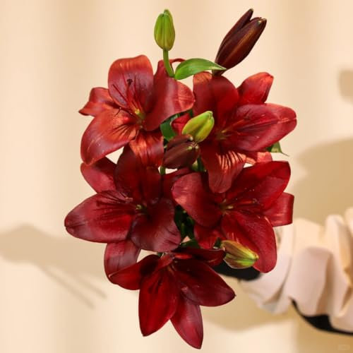 Bulbi di giglio perenni,Lilium bulbi giganti,Pianta di giglio,Crescita rapida,Facile da piantare e mantenere,Crea un giardino facilmente-2 bulbi-A