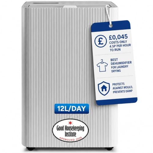 Devola 12L Dehumidifier, Low Energy Home Dehumidifier with Carbon Filter | Costs 4.5p per hour to run, 2.9L Tank, Dual Filtration, Timer, Laundry Drying Mode, Continuous Drainage