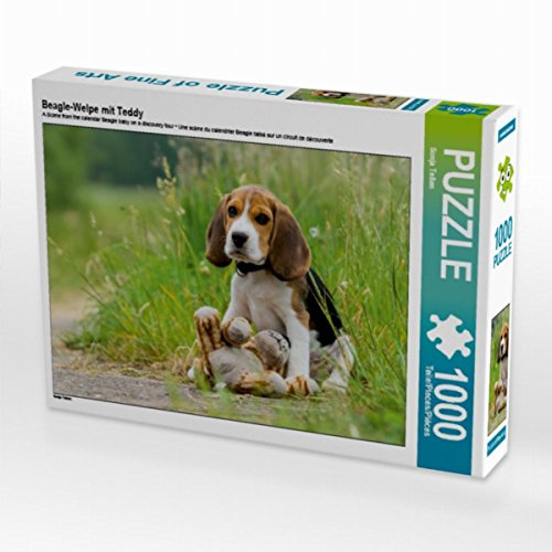 CALVENDO Puzzle Beagle-Welpe mit Teddy | 1000 Teile Lege-Größe 64 x 48 cm Foto-Puzzle für glückliche Stunden