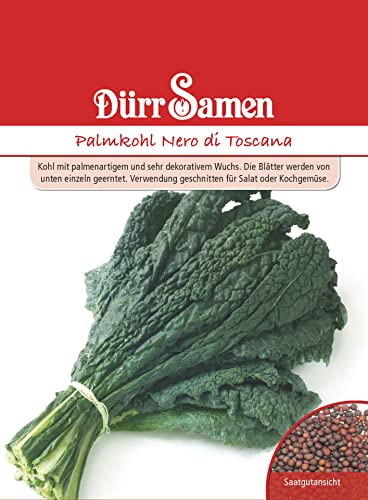 Palmkohl Samen Nero di Toscana Palmkohlsamen Kohlsamen Grüner Kohl ca 100 Korn Saatgut Gemüse Garten Hochbeet Kübel Dürr Samen