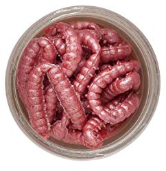 Berkley Powerbait Honigwürmer für 2020 (Pink)