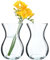 KADAX Jarrón de cristal, 18 cm, 8 cm de diámetro, transparente, jarrón decorativo para sala de estar