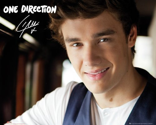 Poster One Direction - Liam Landscape - Global - 50 x 40 cm | Posters.de