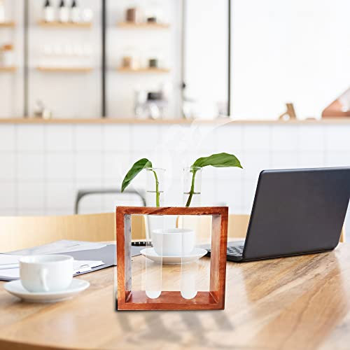 Glass Planter Plant Terrarium Modern Flower Bud Vase in Wood Stand Tabletop for Propagation Stations 2 Glass Tube Holders- Home & Office Decor