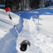 52CC 2-Takt 2.3HP Benzin Kehrmaschine Motor Besen Schneeräumer Motorbesen Schneeschieber Schneefräse Räumgerät Schnee Schneeschaufel Rasenreinigungsgerät Benzinmotor Schneepflug Sweeper