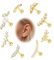 FIOROYAL 8 Stück 16G Helix Piercings Chirurgenstahl Ohrringe Set Blume Top Piercing Ohr CZ Knorpel Ohrstecker für Damen Helix Tragus Conch Piercing Gold