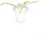 50 cestini per piantare piante in rete di plastica, per piantare piante da giardino (30 x 35 mm)
