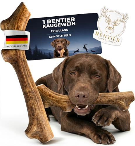 Themahund Kaugeweih Rentier für Hunde, extra lang, M, 1 Stück | Natürliche Alternative zu Hirschgeweih & Kauknochen, splitterfrei & abgerundet, vom Polarkreis
