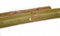Weidenstecklinge für Weiden-Häuser & -Bauten sowie Energieholz im Energiewald, Weidenbündel Kurzumtrieb/KUP, Salix viminalis-Züchtung - Weide, Korbweide, Strauchweide (10 Weiden-Stecklinge 20 cm)