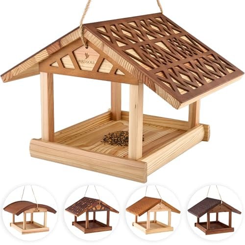 BIRDSOUL Vogelhaus zum Aufhängen [Wasserabweisend] Vogelfutterhaus Wetterfest | Vogelhaus Balkon | Futterhaus für Vögel XXL | 2 Farben + 3 Designs