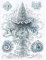 Wee Blue Coo Nature Jellyfish Ernst Haeckel Germany Biology Vintage Art Print Poster Wall Decor Kunstdruck Poster Wand-Dekor-12X16 Zoll
