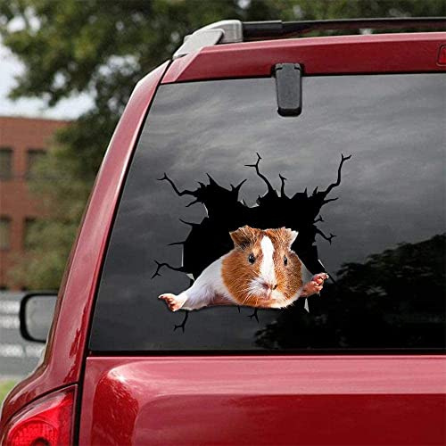 Niedliche Meerschweinchen-Auto-Aufkleber, realistische Auto-Aufkleber, SUV-Fenster-Glasaufkleber, geeignet für Autos, Notebooks, Kühlschränke, Wände und andere glatte Oberflächen.