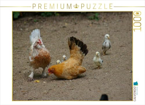 CALVENDO Puzzle Lustige Hühnerschar | 1000 Teile Lege-Größe 64 x 48 cm Foto-Puzzle für glückliche Stunden