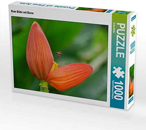 CALVENDO Puzzle Rote Blüte mit Biene | 1000 Teile Lege-Größe 64 x 48 cm Foto-Puzzle für glückliche Stunden