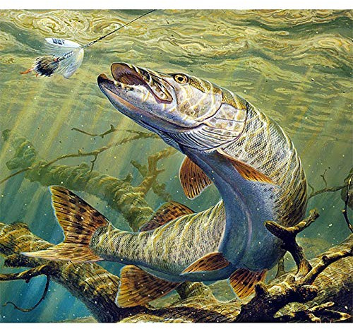 Bimkole DIY 5D Diamond Painting Zubehör Fisch,Meer Diamant Malerei Kit Voll Runde Bohrer Malen nach Zahlen Malerei Stickerei Kreuzstich Diamond Dekoration(30x40 cm)