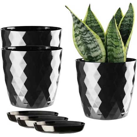 ORTEN Macetas de plástico para interiores con platillo, todas las plantas de casa, hierbas, cactus, orquídeas, suculentas, juego de 3 (14 cm de diámetro, negro)