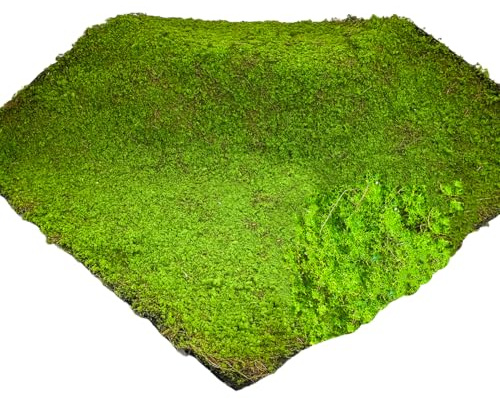 100 x 100 cm Künstliche Moos, Teppich Moosmatte Moosplatte Deko, Pflanzenteppich Moos Wandbild Paneele Wandverkleidung, Moosbild Wandplatten für Hochzeit, Geburtstag, Dekoration (Verdorrter Zweig)