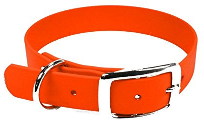 LENNIE BioThane Halsband, Dornschnalle, 16 mm breit, Größe 30-36 cm, Neon-Orange, Aufdruck möglich