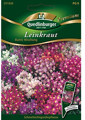 Leinkraut, Linaria maroccana, ca. 300 Samen